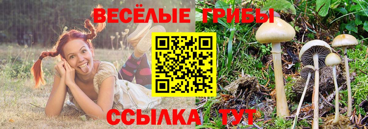 Галлюциногенные грибы Psilocybine cubensis  Галлюциногенные грибы ЛСД  Вход с VPN  Торжок 