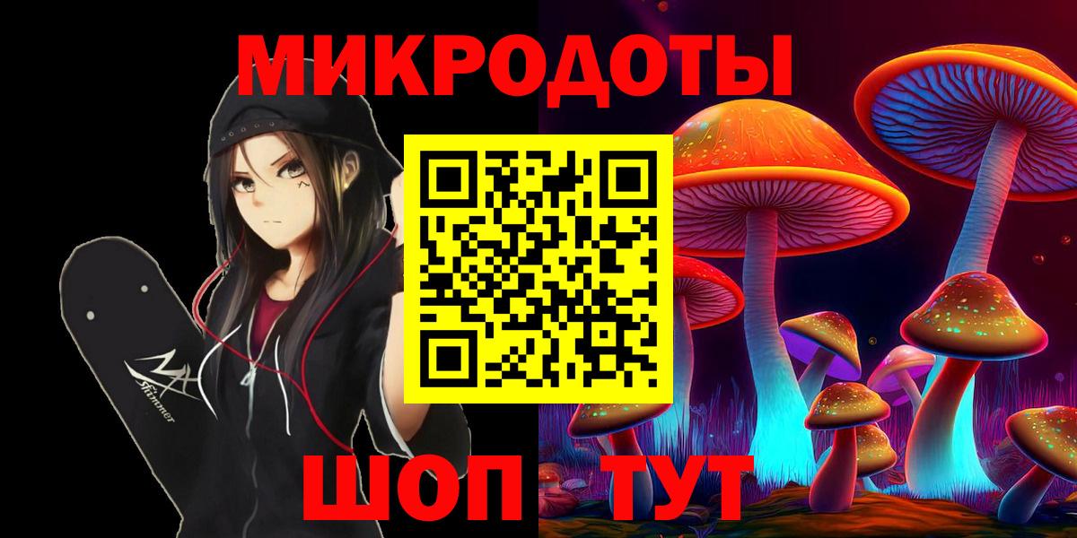 Псилоцибиновые грибы Cubensis Торжок